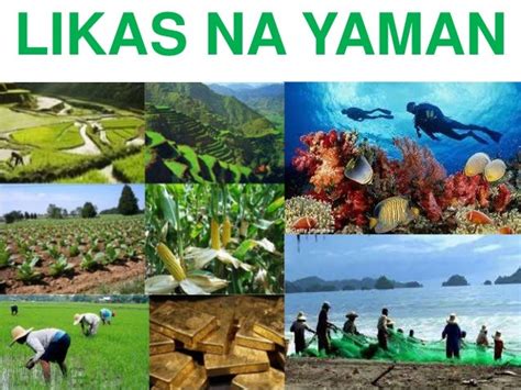 Mga likas na yaman .